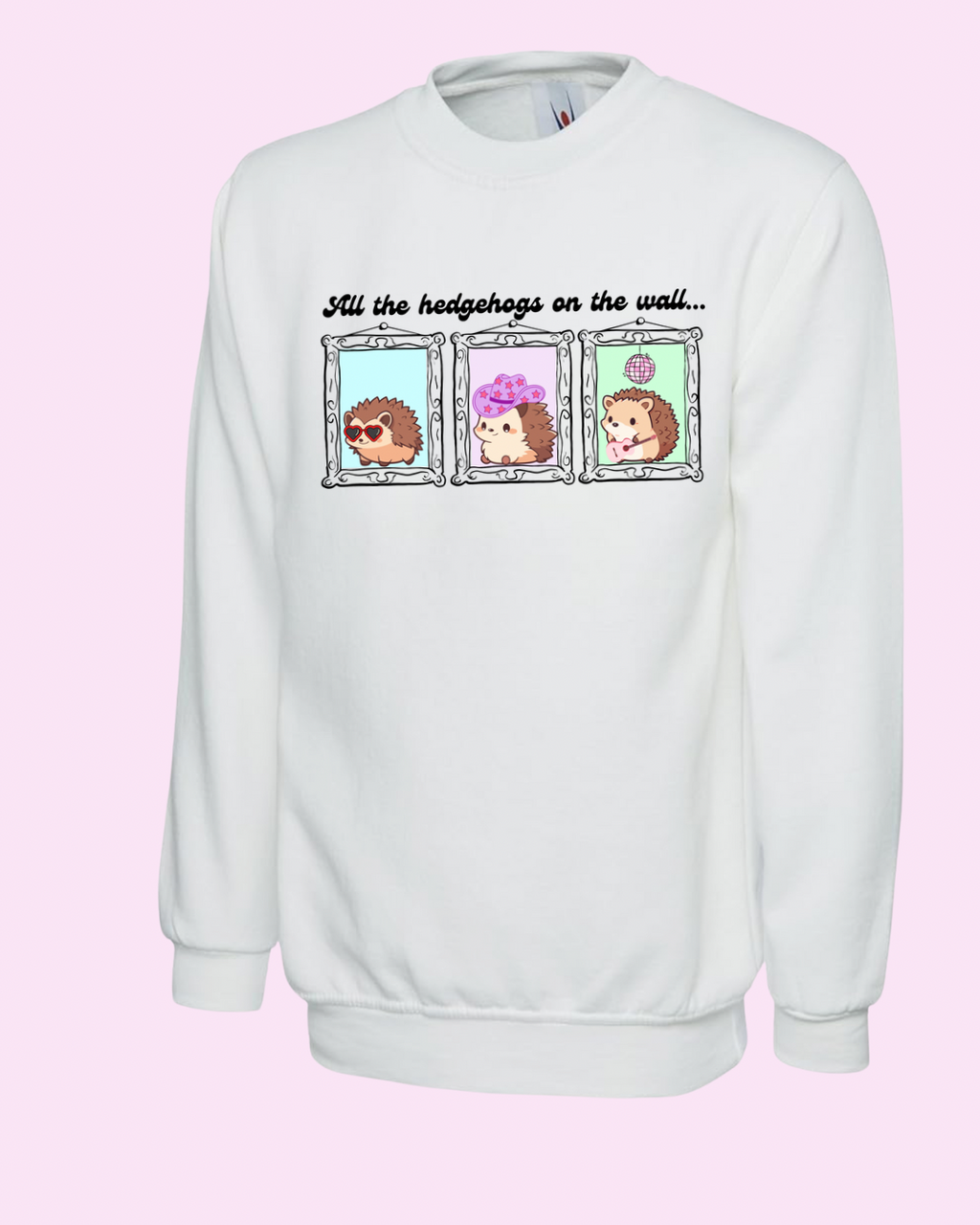 Taylor Swift inspired funny lyric shirt hedgehogs on the wall